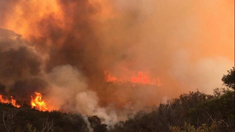 Σε ύφεση οι πυρκαγιές σε Μέγαρα, Ν. Πέραμο και Μάντρα-Αποπνικτική η ατμόσφαιρα στην Αττική