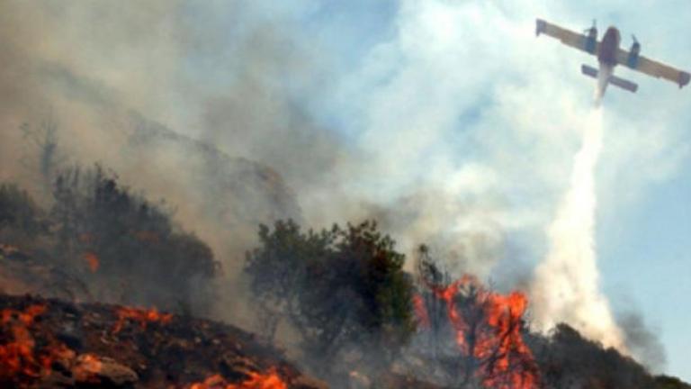 Πυρκαγιά σε δασική έκταση στη Λακωνία