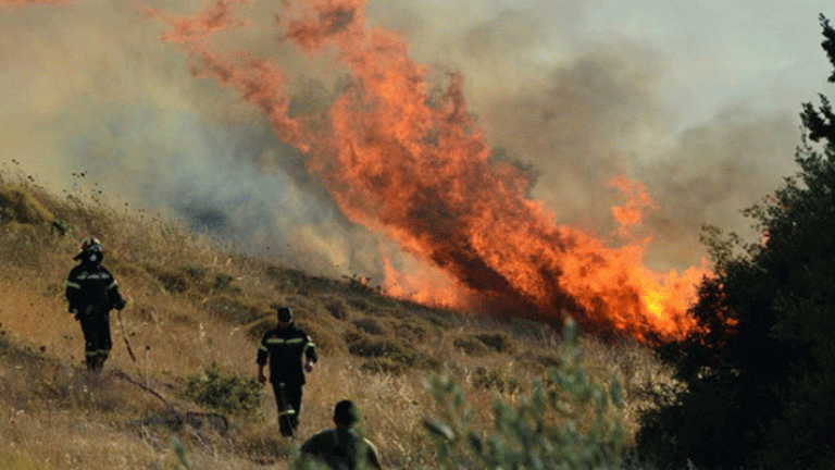 Πυρκαγιά σε δασική έκταση στο Κρανίδι Αργολίδας
