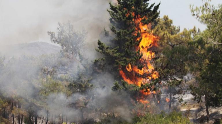 Πυρκαγιά σε δασική έκταση στους Παλαιούς Πόρους στο Ν.Πιερίας.