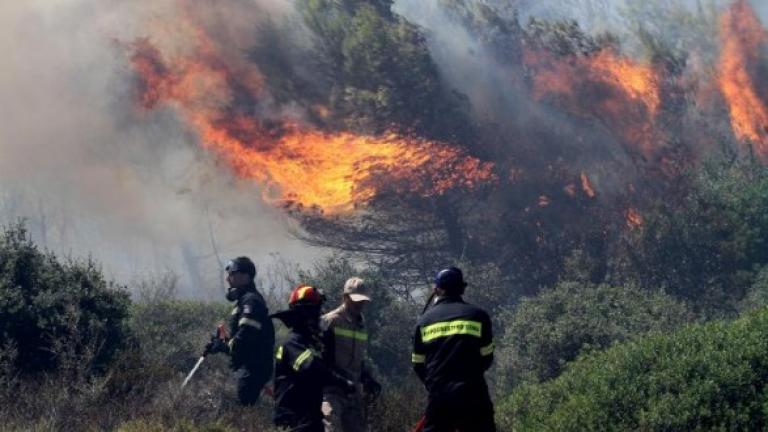 Πυρκαγιά στα Καλύβια Αττικής