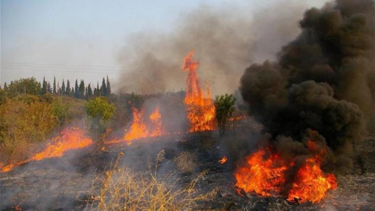 Πυρκαγιά στο Αλιβέρι Εύβοιας