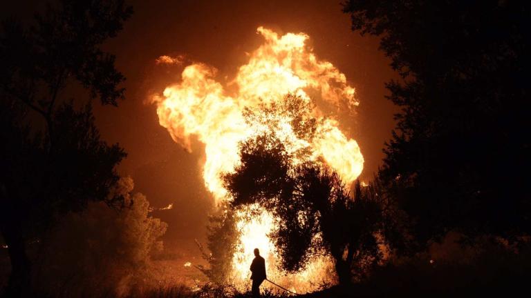 Σε πύρινο κλοιό η Ελλάδα- Ξέσπασαν 91 πυρκαγιές σε μια μέρα