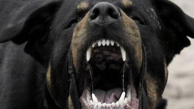 Το κοριτσάκι κατέληξε από καρδιακή προσβολή