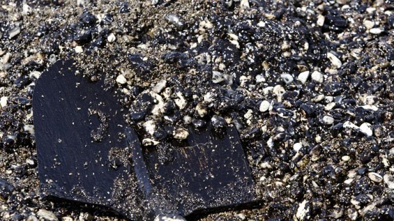 Η καταστροφική πετρελαιοκηλίδα σκοτώνει ζωή και επιχειρήσεις (ΦΩΤΟ-ΒΙΝΤΕΟ)