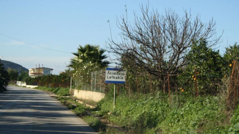 Σε εξέλιξη πυρκαγιά σε χαμηλή βλάστηση στην περιοχή Λευκάκια του Δήμου Ναυπλιέων 