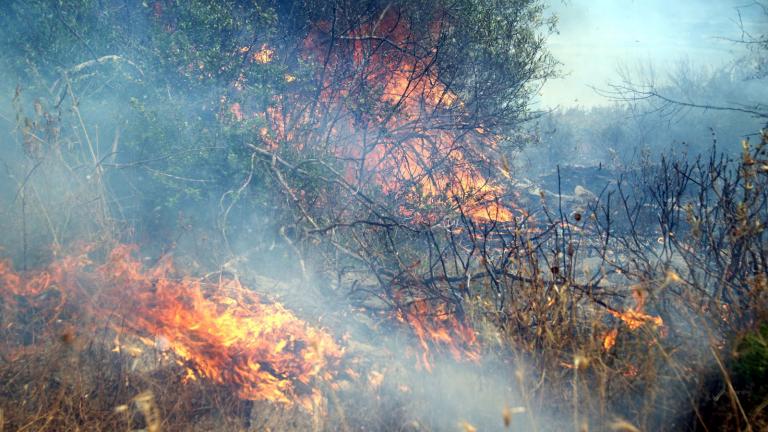 Σε εξέλιξη πυρκαγιά στη νότια Λακωνία