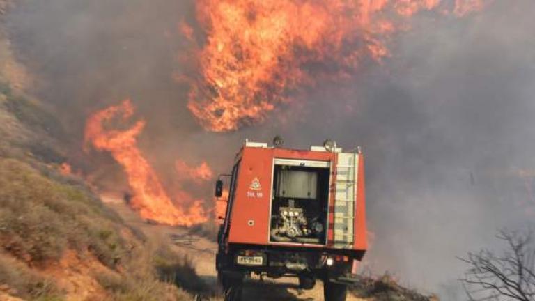 Μεγάλη πυρκαγιά στην Κάρυστο