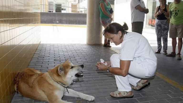 Μια συγκινητική ιστορία που αποδεικνύει γιατί ο σκύλος είναι ο πιο πιστός φίλος του ανθρώπου