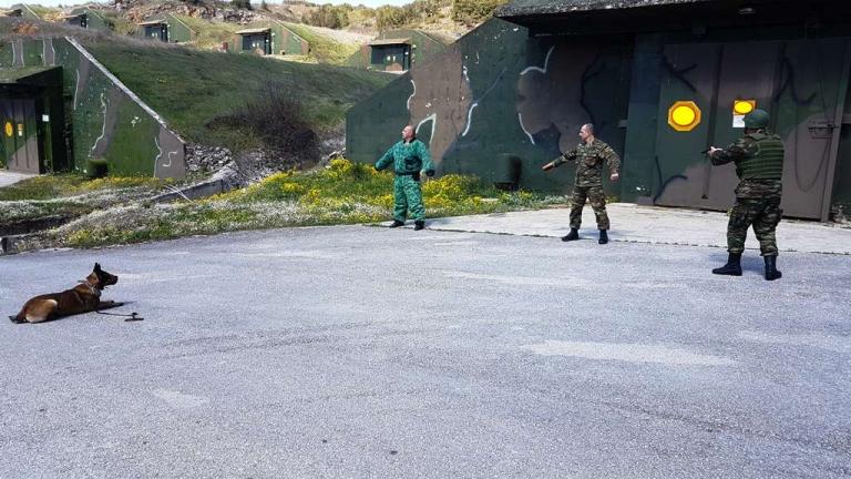 Στρατιωτικοί Σκύλοι: Άγρυπνοι,πιστοί, άγριοι φρουροί! Πέρασαν αξιόλογηση