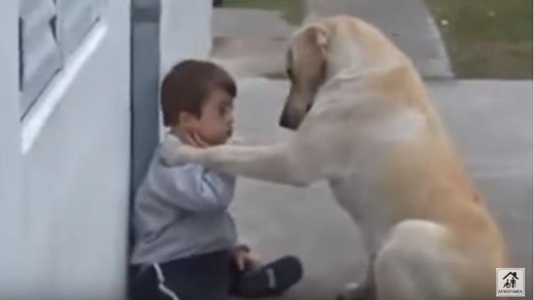Εκπληκτικό! Τρυφερή σκυλίτσα κάνει παρέα σε παιδάκι με σύνδρομο Down