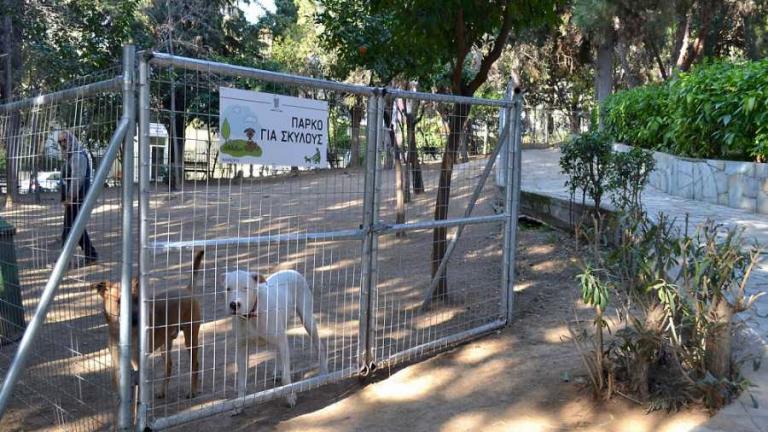 Δυο νέα πάρκα σκύλων ετοιμάζονται στην περιοχή του Ρέντη και Νίκαιας