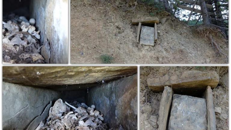 Νεαροί ανακάλυψαν ασύλητο τάφο στο Ζαγόρι (ΒΙΝΤΕΟ)