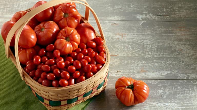 Ανακαλύφθηκε το γενετικό «κλειδί» για να ξαναγίνουν οι τομάτες επιτέλους νόστιμες