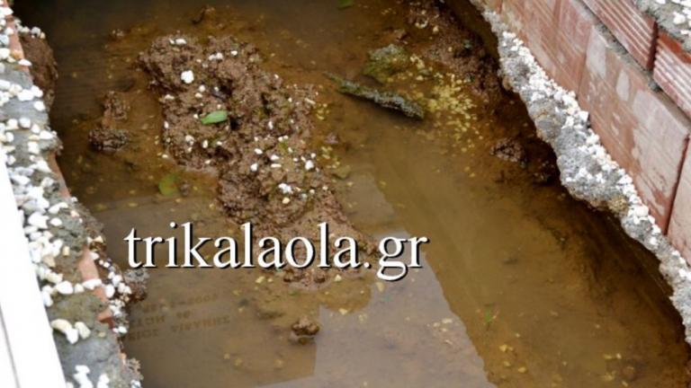 Τι μακάβριο συμβαίνει στο νεκροταφείο Τρικάλων 