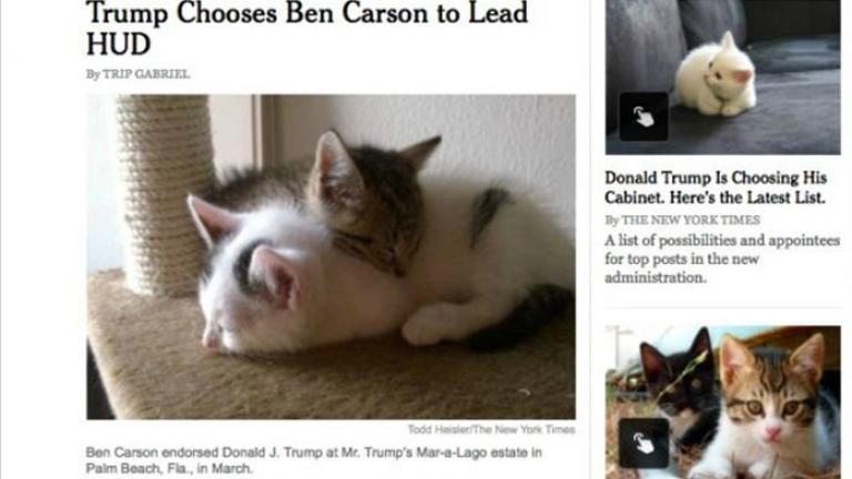 Υπέροχο! Μια εφαρμογή αντικαθιστά τις φωτογραφίες του Τραμπ με γάτων
