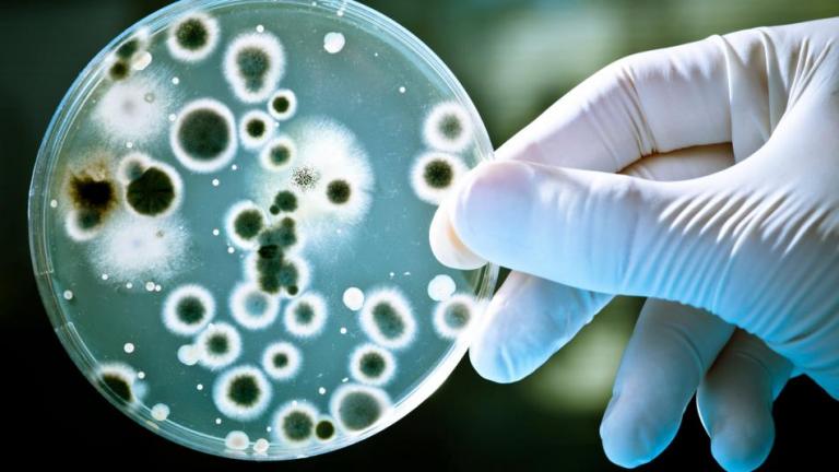 ΠΟΥ: Άμεση η ανάγκη για νέα αντιβιοτικά για την καταπολέμηση 12 πολυανθεκτικών βακτηρίων