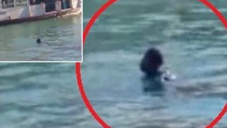 Αφρικανός έπεσε και πνίγηκε στο Μεγάλο Κανάλι της Βενετίας και κανείς δεν τον βοηθούσε (ΒΙΝΤΕΟ)