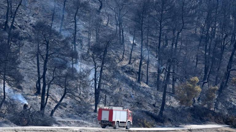 Σε κατάσταση έκτακτης ανάγκης η Β.Εύβοια-Τεράστια οικολογική καταστροφή