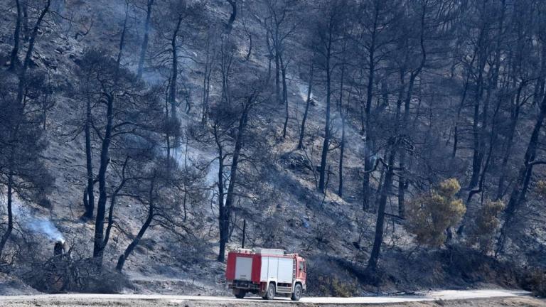 Σε κατάσταση έκτακτης ανάγκης η Β.Εύβοια-Τεράστια οικολογική καταστροφή