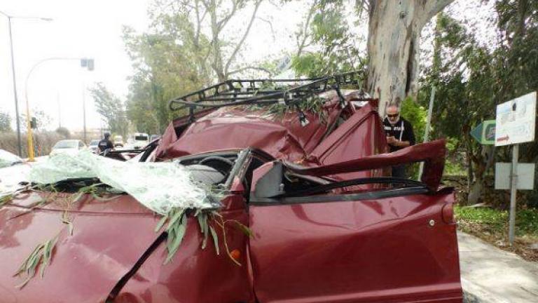 Χανιά: Δέντρο καταπλάκωσε και σκότωσε οδηγό
