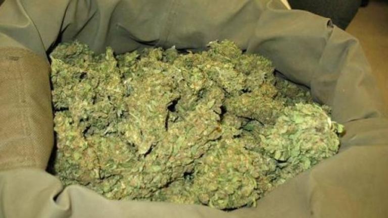 Σύγχρονη υδροπονική καλλιέργεια χασίς στα Μελίσσια (ΦΩΤΟ)