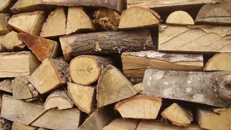 Πατέρας έκλεψε ένα σακί ξύλα για να ζεστάνει τα παιδιά του