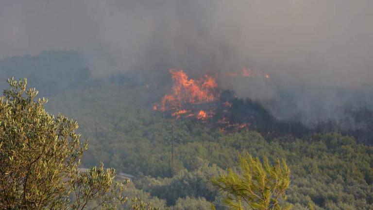 Πύρινη κόλαση στη Ζάκυνθο: Εκκενώνουν χωριό (ΦΩΤΟ-ΒΙΝΤΕΟ)