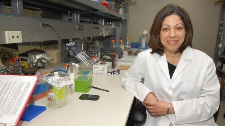 Ελληνίδα καθηγήτρια φυσιολογίας στις ΗΠΑ δημιούργησε τμήμα ανθρώπινου στομάχου με βλαστοκύτταρα