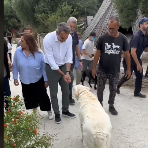 MITSOTAKIS KATAFUGIO ZOON