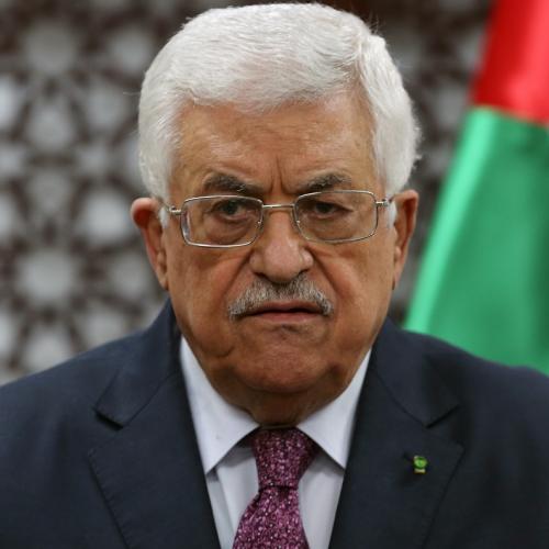 abbas mahmoud