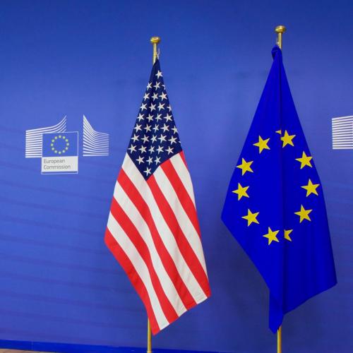 eu usa flags