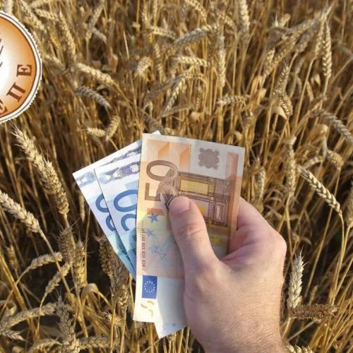 οπεκεπε