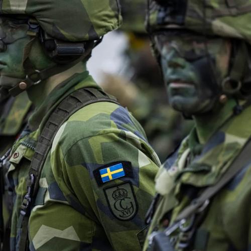 σουηδικος στρατος