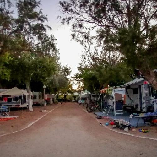 φοινικουντα