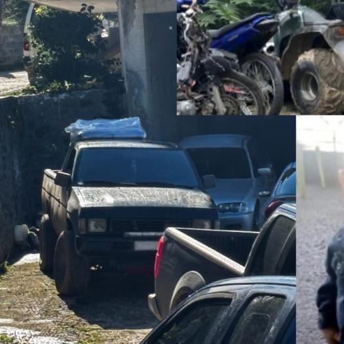 γουρουνα 3χρονος