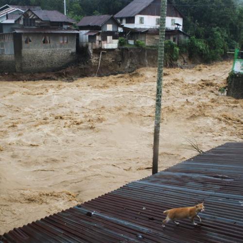 Πλυμμηρες ινδονησια