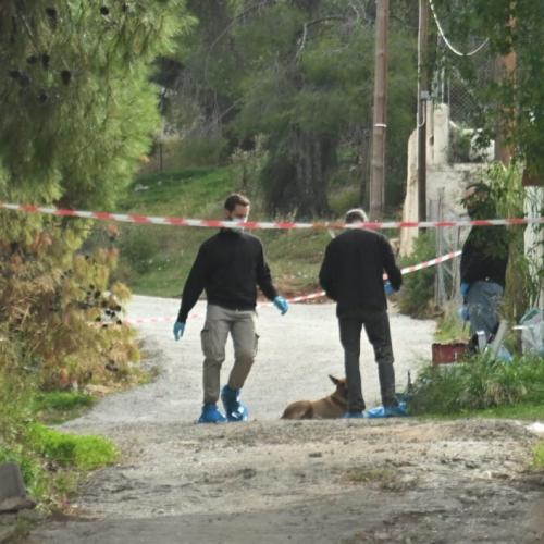 Σαλαμίνα: Προμελετημένη η δολοφονία της 75χρονης από τη νύφη της – Τι αναφέρει ο δικηγόρος της 46χρονης 