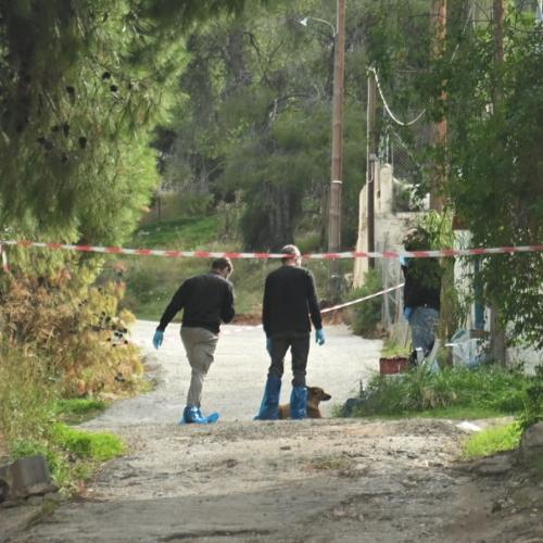 σαλαμινα δολοφονια