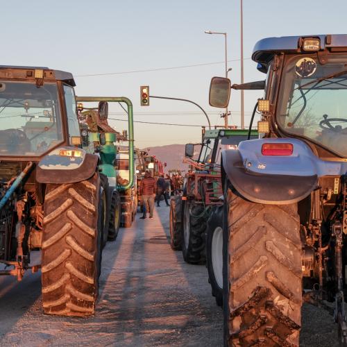 αγροιτκα μπλοκα