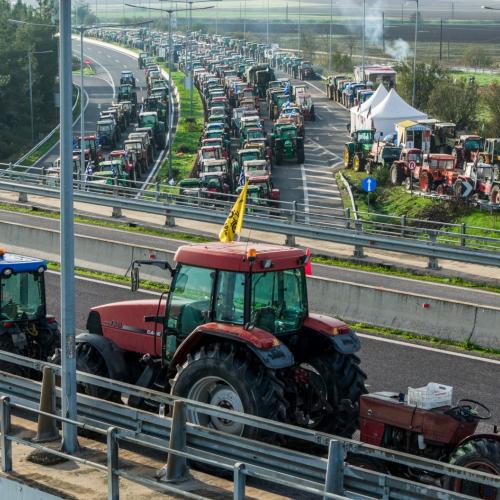 agrotes trakter mploko