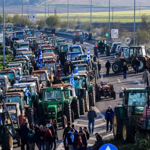 agrotes-mploka-nikaia