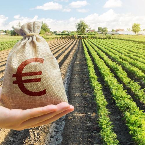 επιδοτησεις