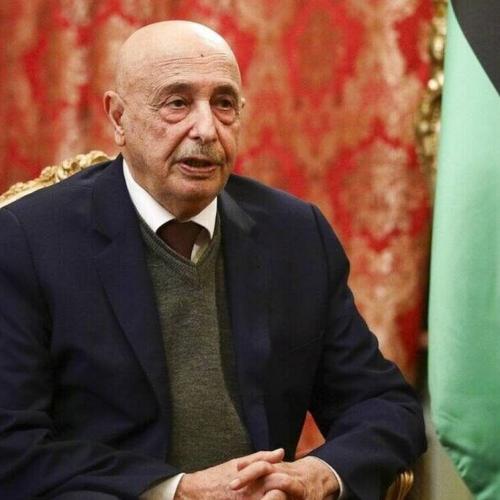 ακιλα σαλεχ