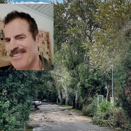 φοινικουντα