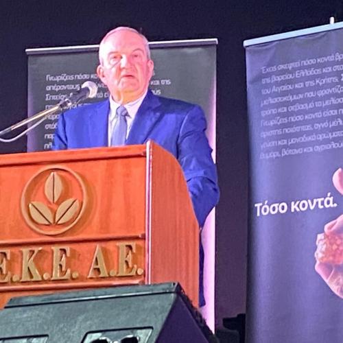 ΚΩΣΤΑΣ ΚΑΡΑΜΑΝΛΗΣ 