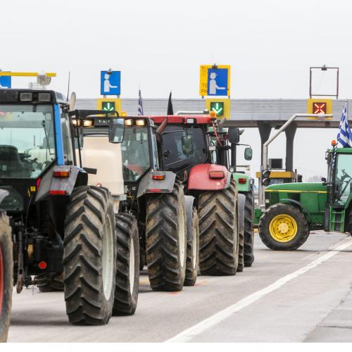 malgara diodia agrotes trakter