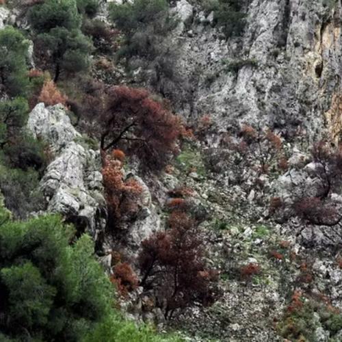 σικινος γρκεμος