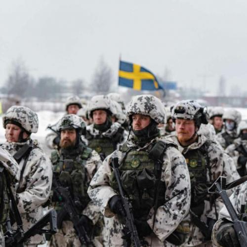 σουηδικος στρατος