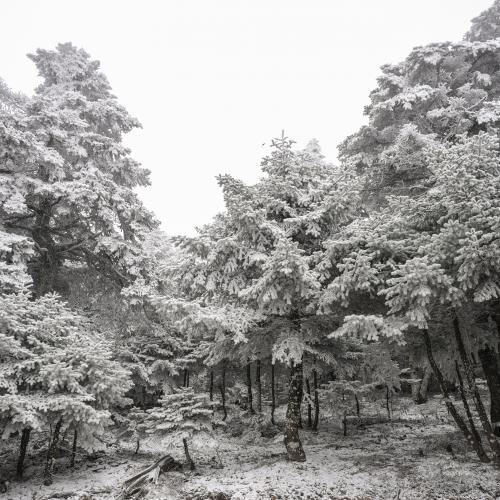 χιονισμενος καιρος